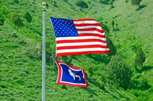 001 USA Flag