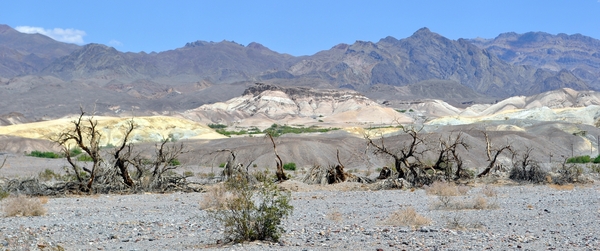 038  Death Valley