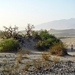 039  Death Valley