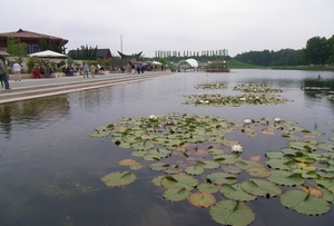 Floriade  Waterdelta