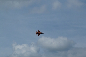 277-F16 Solo Display-Netherlands