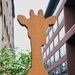 Girafbeeld achter zoo