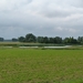 030-Nieuwe Hazegraspolder