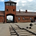 Birkenau, 'De Poort des doods'