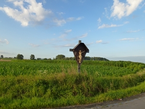 2012-07-29 Everbeek 002