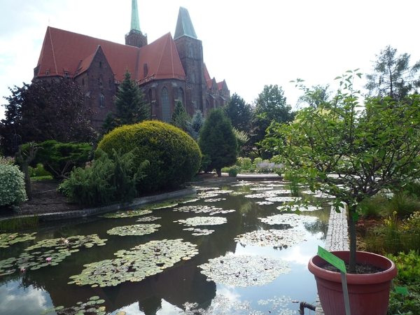 2A Wroclaw, botanische tuin _P1120731