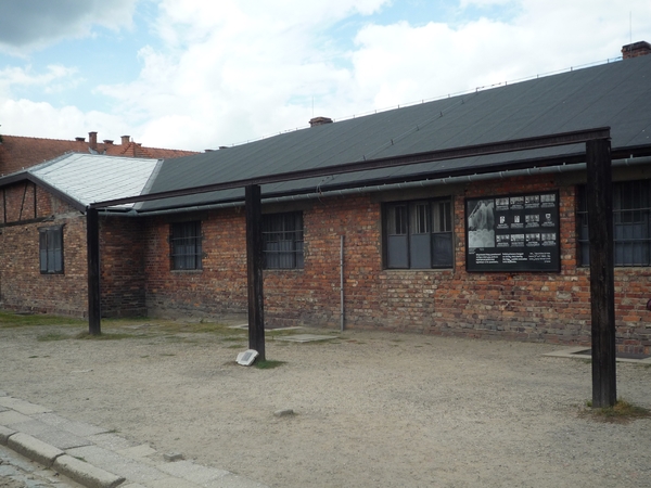 3B Auschwitz, _P1120941