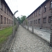 3B Auschwitz, _P1120943