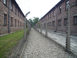 3B Auschwitz, _P1120943
