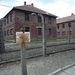 3B Auschwitz, _P1120952