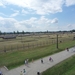 3B Auschwitz-Birkenau, vanuit de hoofdpoort _P1120972