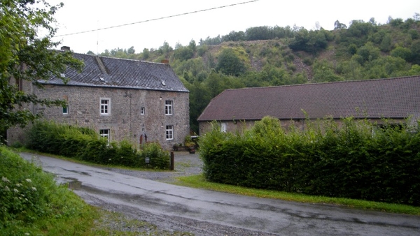 marche adeps wandeling arbre wallonie