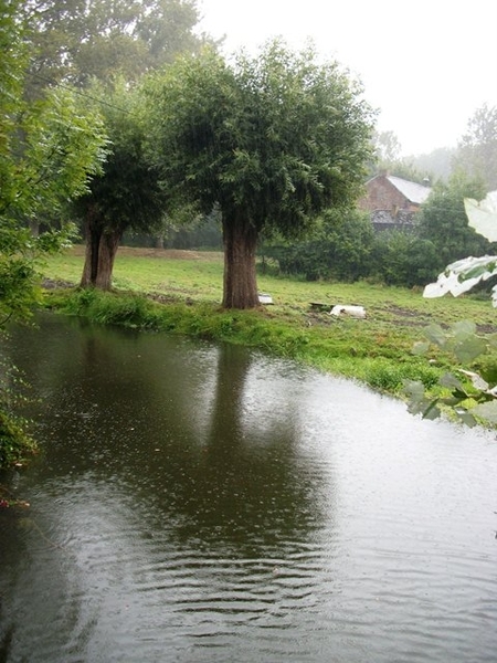 019-Rivier de Mark in Tollembeek