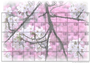 Calendar (maart, 2010)