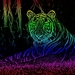 Tiger_Tongue kopie