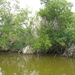 Everglades 12 mei 005