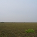 Everglades 12 mei 028