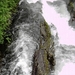 293-WATERVAL-06