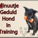 Minuutje hond in training
