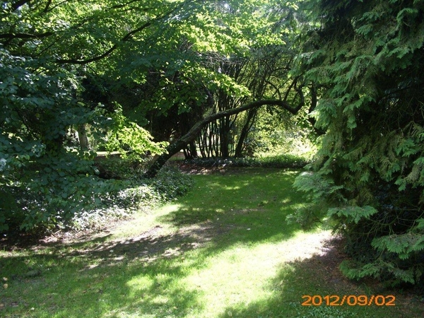 arboretum kalmthout  2012 037