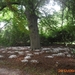 arboretum kalmthout  2012 070