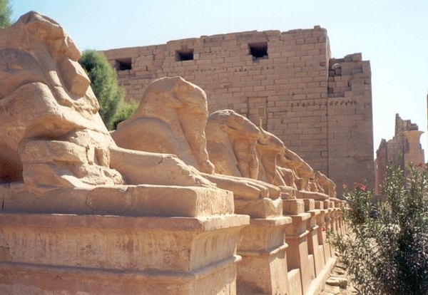 2a Karnak_sfinxen rij