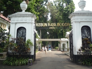 1B Bogor, Kebun Raya, botanische tuin _P1130558