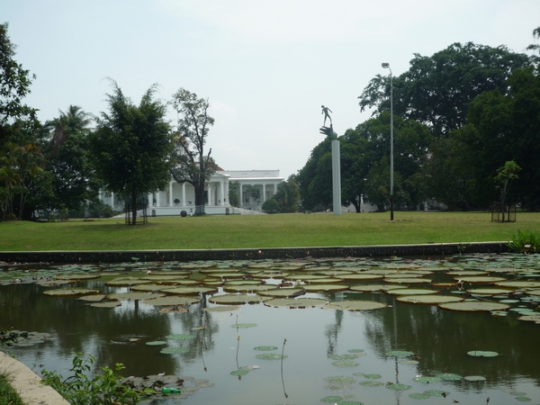 1B Bogor, Kebun Raya, botanische tuin _P1130596