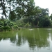1B Bogor, Kebun Raya, botanische tuin _P1130597