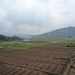 1N Jombang--Batu _P1140076