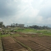 1N Jombang--Batu _P1140077
