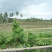 2A Gilimaluk--Sanur, West naar Zuidoost Bali _P1140355