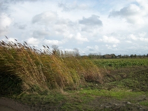 077-Reytmeersen-natuurgebied van 47ha.