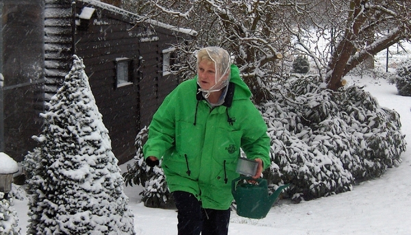 11 Ann Marie in the snow