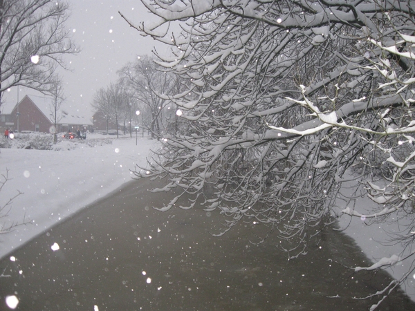 winter 2011