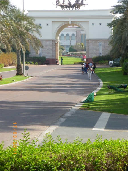 53. Dubai-omgeving paleis Sheik Mohamed (2)