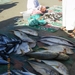6. Vismarkt op het strand in Seeb.IMGP1739