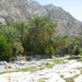 18. Wadi Bani Awf. Een prachtige oase. IMGP1751