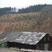2012-11-16 Burg Reuland (125)