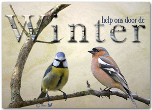 Help ons door ,de winter!
