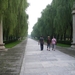 Beijing-heilige weg nr. de Ming-graven