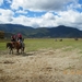 Zhongdian, Shangri La, Tibetaans landschap met Yaks en paarden (2