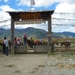 Zhongdian, Shangri La, Tibetaans landschap met Yaks en paarden (3