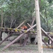 Chengdu-Rode panda