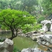 Yu-tuin in het oude stadsgedeelte van Shanghai (2)