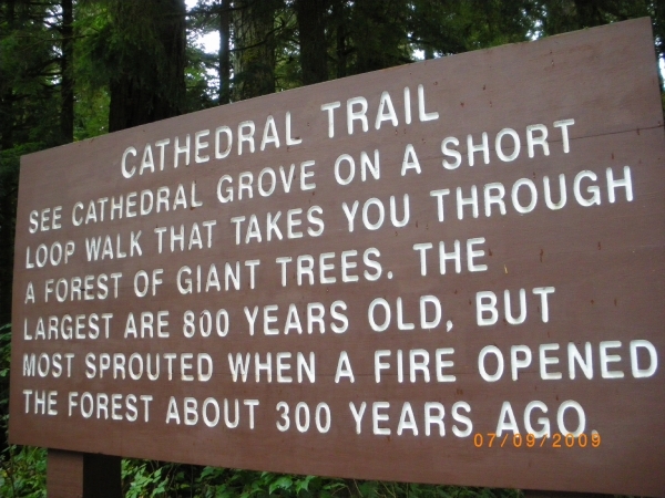 211 - Cathedral trail