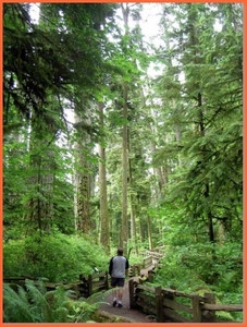 216(3) Cathedral trail - Vancouver-island