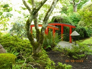 243 - Butchard gardens- Japanse tuin