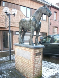56-Het Brabants Trekpaard