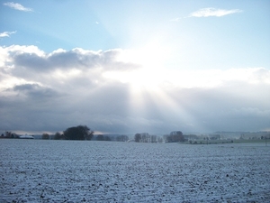 61-Winters landschap